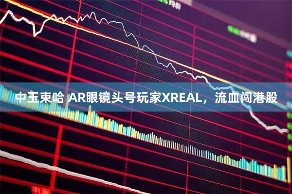 中玉束哈 AR眼镜头号玩家XREAL，流血闯港股
